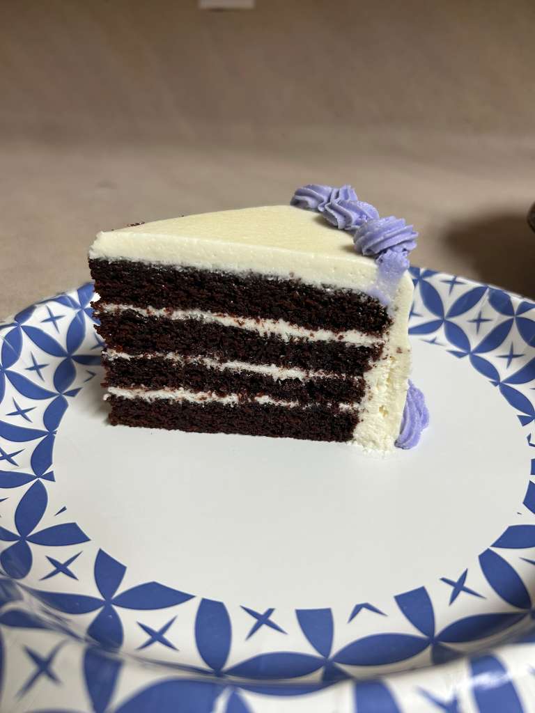 Chocolate layered cake slice
